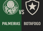 Palmeiras vs Botafogo
